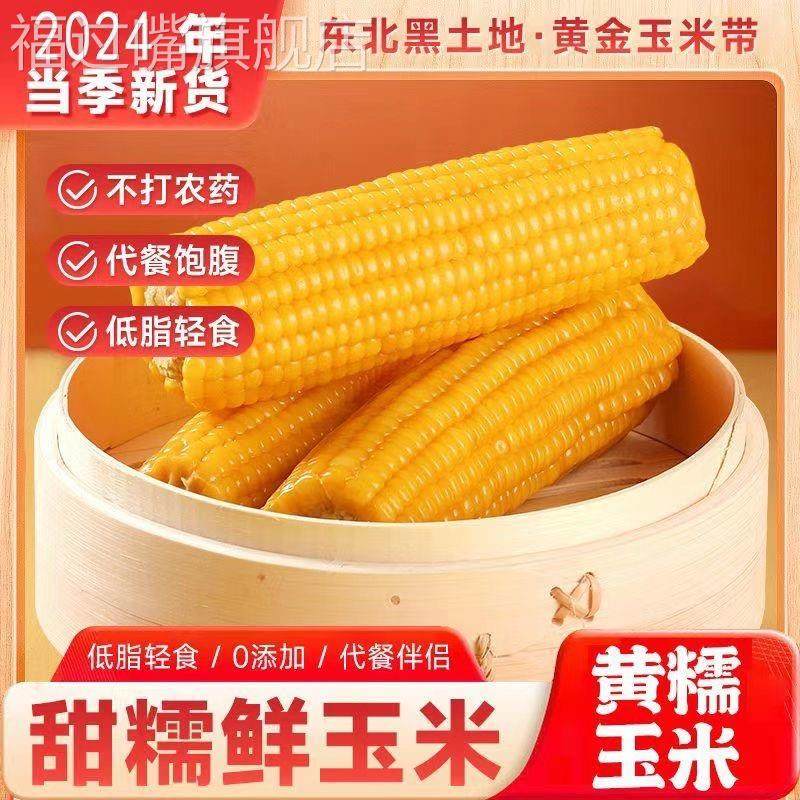 2024黄玉米白糯玉米大棒加热即食真空东北黑玉米整箱新鲜礼盒粘甜