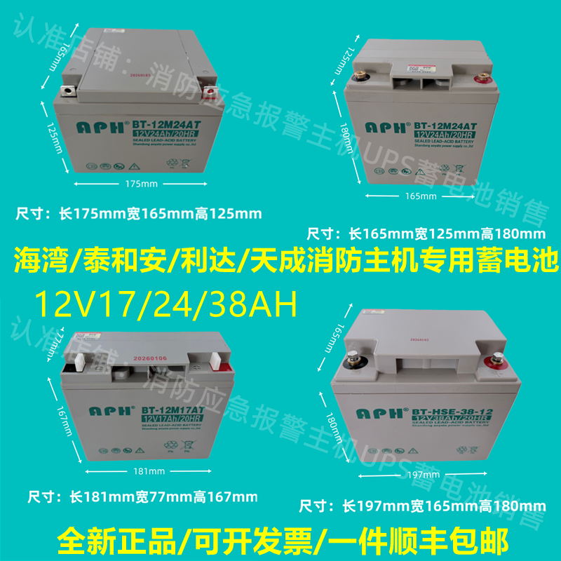 蓄电池BT-12M24AT消防主机12V24AH17AH38A海湾泰和安松江北大青鸟