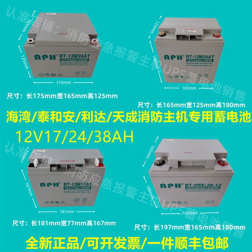 蓄电池BT-12M24AT消防主机12V24AH17AH38A海湾泰和安松江北大青鸟