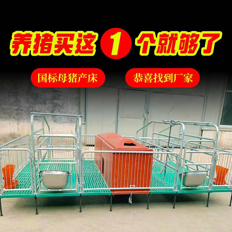 国标超厚双体猪用母猪产床保育两用一体产保全套一整母猪产床产保