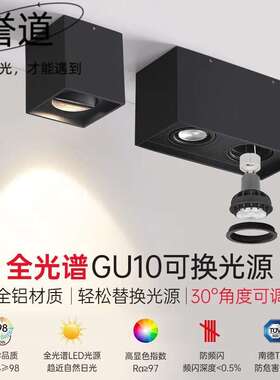 誉道双头明装射灯led客厅无主灯盒子灯三头斗胆灯玄关过道聚光灯