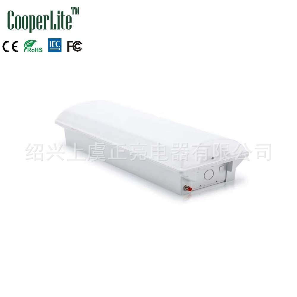 1*8W 2*8W灯管式/贴片式LED长方形嵌入式安装应急灯外壳