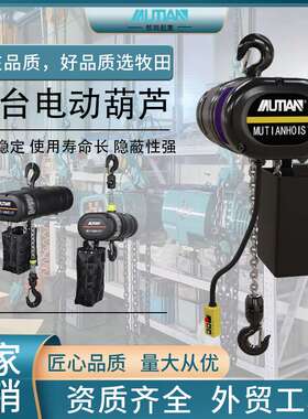 舞台专用电动葫芦1t2t婚礼演出灯光专用黑色舞台环链电动葫芦提升