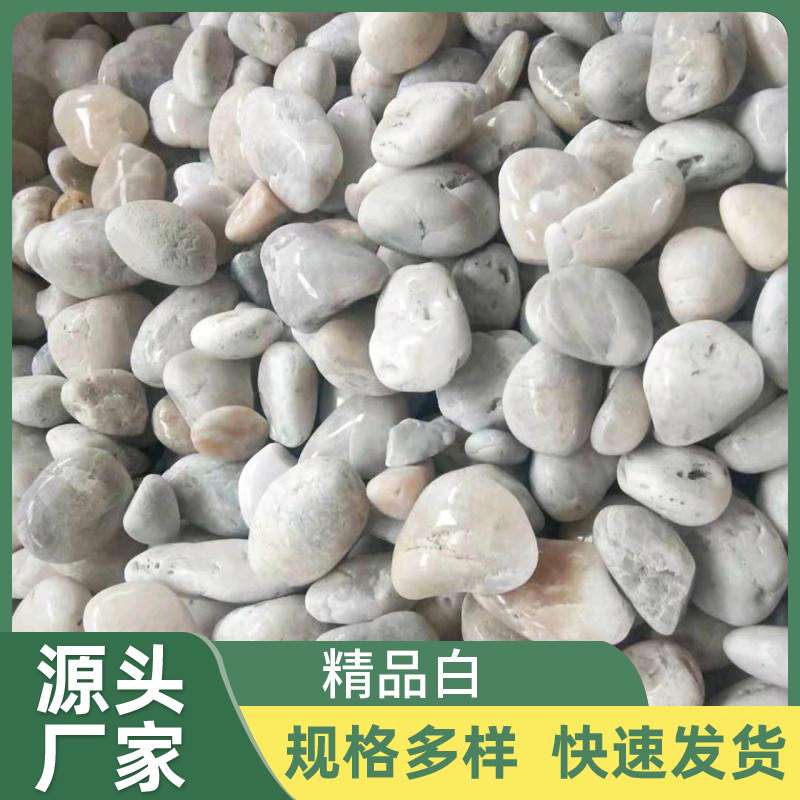 厂家 精品白雨花石 白色鹅卵石水池装饰鱼缸造景园林工程美化