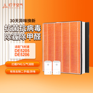 适用飞利浦空气净化器除湿机过滤网tDE5206/DE5205/FY1119滤芯HEP