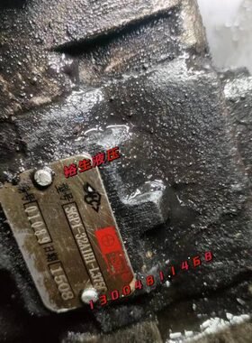 天津S5S-HG齿轮泵137H1L-32C泵液压泵岛津P液压油A1T