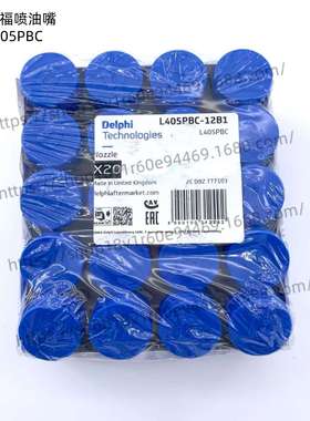 德尔福L405PBC 电喷电控德尔福BEBJ1A05002 BEBEJ1B00001 喷油器