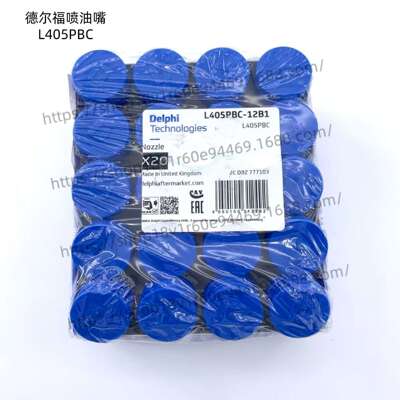 德尔福L405PBC 电喷电控德尔福BEBJ1A05002 BEBEJ1B00001 喷油器