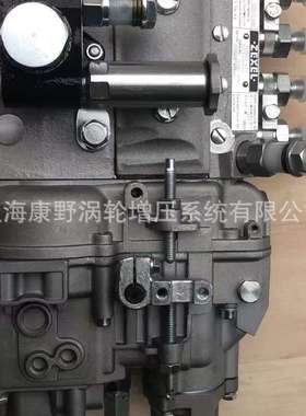 喷油泵101495-3531 101049-4120和191000-9891 6151-71-1553