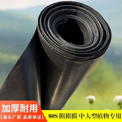 屋顶花园阻根板防穿刺防根穿刺排水板阻根膜防水布V屋顶绿化隔根