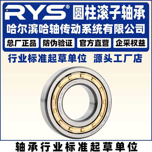 RYS 哈轴传动 RN NF N NU NJ NUP 308 309 310 E M EM 圆柱滚子