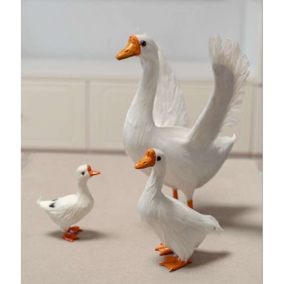 真羽毛仿真鹅大白鹅鸡鸭鹅静态动物模型家禽庭院园林摆件拍摄道具,玩具/童车/益智/积木/模型,遥控车升级件/零配件,淘宝优惠券,粉丝福利购,淘宝优惠卷