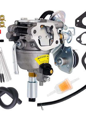 541-0765 化油器 141-0982 141-0983 A043B781 Onan 5500 发电机