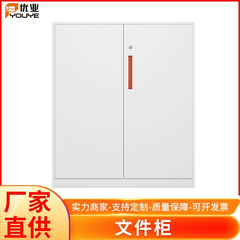 厂家钢制文件柜办公室落地小型储物柜文件档案柜子颜色可定