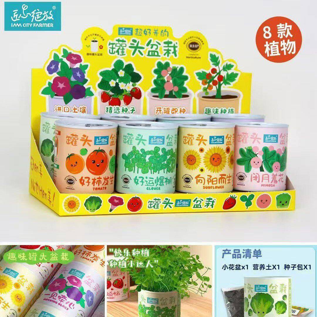 匠心绽放 头种植小盆栽儿童 公室绿植情绪植物果蔬小学生
