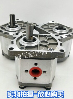 齿轮泵 液压油泵CBN-F310 CBN-F314 CBN-F316 CBN-F320 CBN-F306