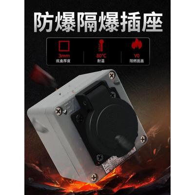 工业防爆插座220V/380V16A瑞亦达墙壁五孔10A多功能防水明装插排