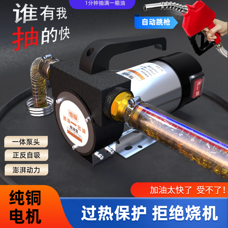 电动抽油泵12V24V220V小型加油自吸泵