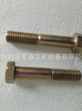 特雷克斯原厂矿车配件 TEREX  螺栓271619配件