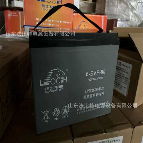 LEOCH动力蓄电池6-EVF-80电动四轮车12V80AH理士胶体蓄电池