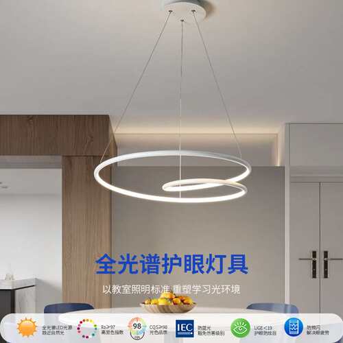 后现代简约创意个性餐厅吊灯led餐桌饭厅灯家用简约时尚圆环灯具