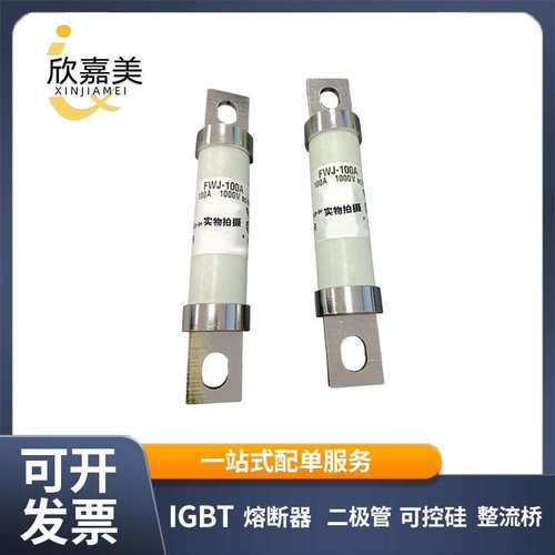 FWJ-100A FWJ-120A 快速熔断器  保险丝 电子元器件 量大价优