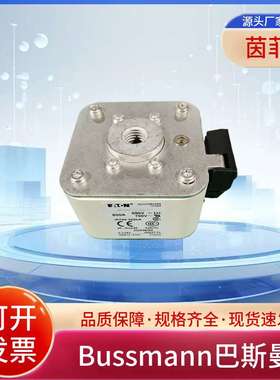 熔断器170M6562 170M6563 170M6564 170M6565 170M6566 170M6567