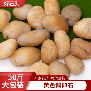 黄色抛光鹅卵石庭院铺面小石子园林造景南京雨花石天然石