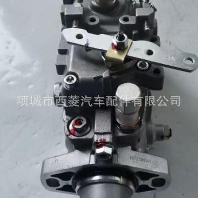 VE6泵总成196000-5090 2806720燃油泵 12F1100RND509油泵 燃油泵