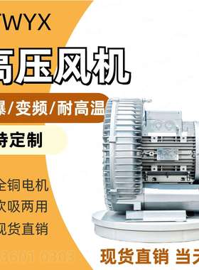 TWYX风机RB-51D-2 1300w旋涡风泵 旋涡式高压风机 高压涡旋气泵