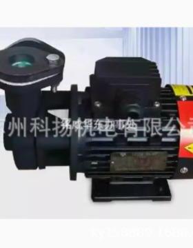 原装LEZQ PUMP模温机油泵MOTORE ASINCRONO TRIFASE 高温泵 水泵