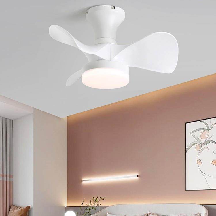 家用小型吊扇灯吸顶风扇灯客厅餐厅带灯风扇吊灯家用灯具