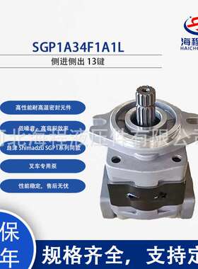SGP1A34F1A1L SGP1A34F1A1R