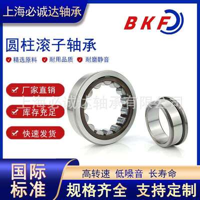 BKF圆柱滚子轴承N NJ NU NF NUP232 234 236 240 332 334 336 EM