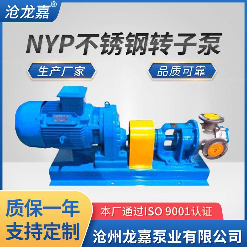 高粘度转子泵NYP不锈钢转子泵蜂蜜泵糖浆泵白乳胶泵树脂泵转子泵