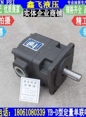 YB-B12.5/YB-D16/YB-D20/YB-D25定量叶片泵 单联液压油泵 10MPA