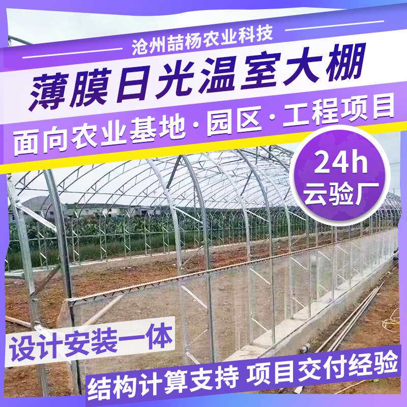 双膜骨架温室大棚镀锌钢管种植大棚畜牧养殖大棚蔬菜种植大棚加工