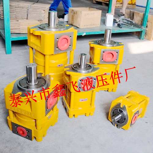 NT4油泵NB3/NT3/C40F/C50F/C63F/QT41直线共轭内啮合齿轮泵D G