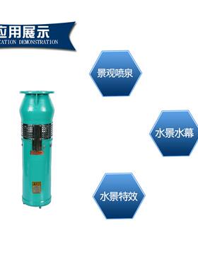 QSP喷泉泵 不锈钢304喷泉泵 喷泉泵厂家