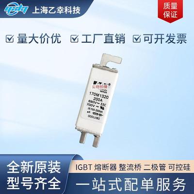 巴斯曼熔断器 170M1318 170M1319 170M1320 170M1321 170M1322