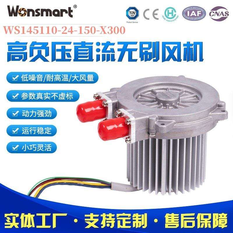 宁波燃料电池扬尘粉尘检测设备环境监测高负压直流无刷风机便携式