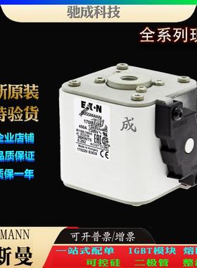 巴斯曼170M6341 170M6342 170M6343 经销直销价优 快速保险丝