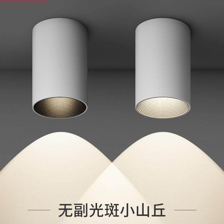 三知明装射灯Ra98全光谱家用防眩护眼免开孔天花灯卧室波条纹筒灯,鲜花速递/花卉仿真/绿植园艺,割草机/草坪机,淘宝优惠券,粉丝福利购,淘宝优惠卷