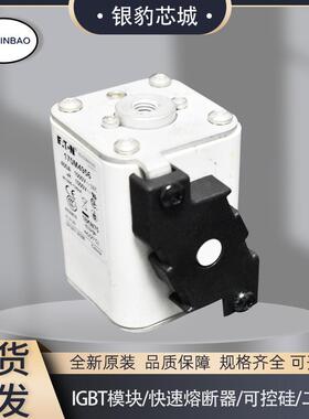 170M4956 170M4957 170M4958 170M4959 170M4960现货熔断器保险丝