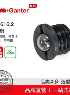 Elesa Ganter伊莉莎冈特 GN 616.2 弹簧销 钢制或不锈钢外壳