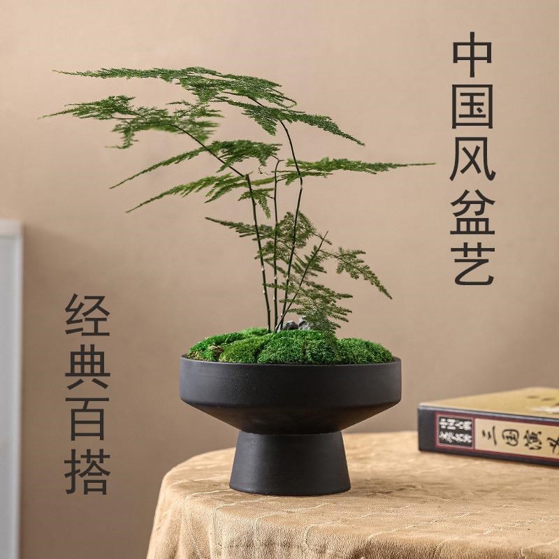 中国风简约文艺i范陶瓷花盆米竹铜钱草水培苔藓球装饰微景观盆景