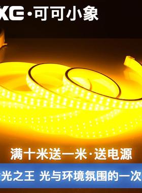 灯带led客厅吊顶家用超高亮三排金黄光220V户外防水紫色粉红灯条