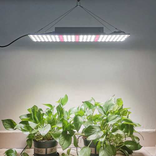 工厂 660nm 防水智能温控全光谱花卉水果植物生长补光调光灯