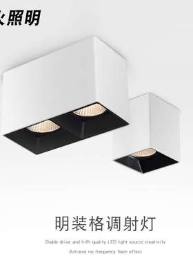 cob方形筒灯双头家用客厅斗胆灯无主灯吸顶式卧室防眩led明装射灯