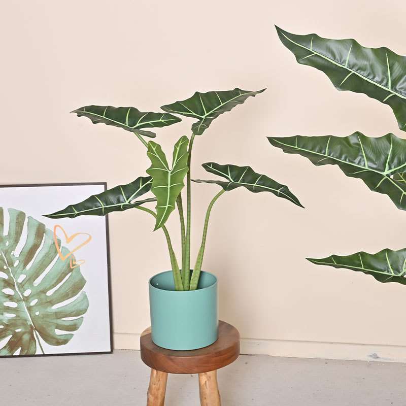 新款仿真萨利安海芋植物家居客厅造景摆件假树海芋盆栽假绿植装饰